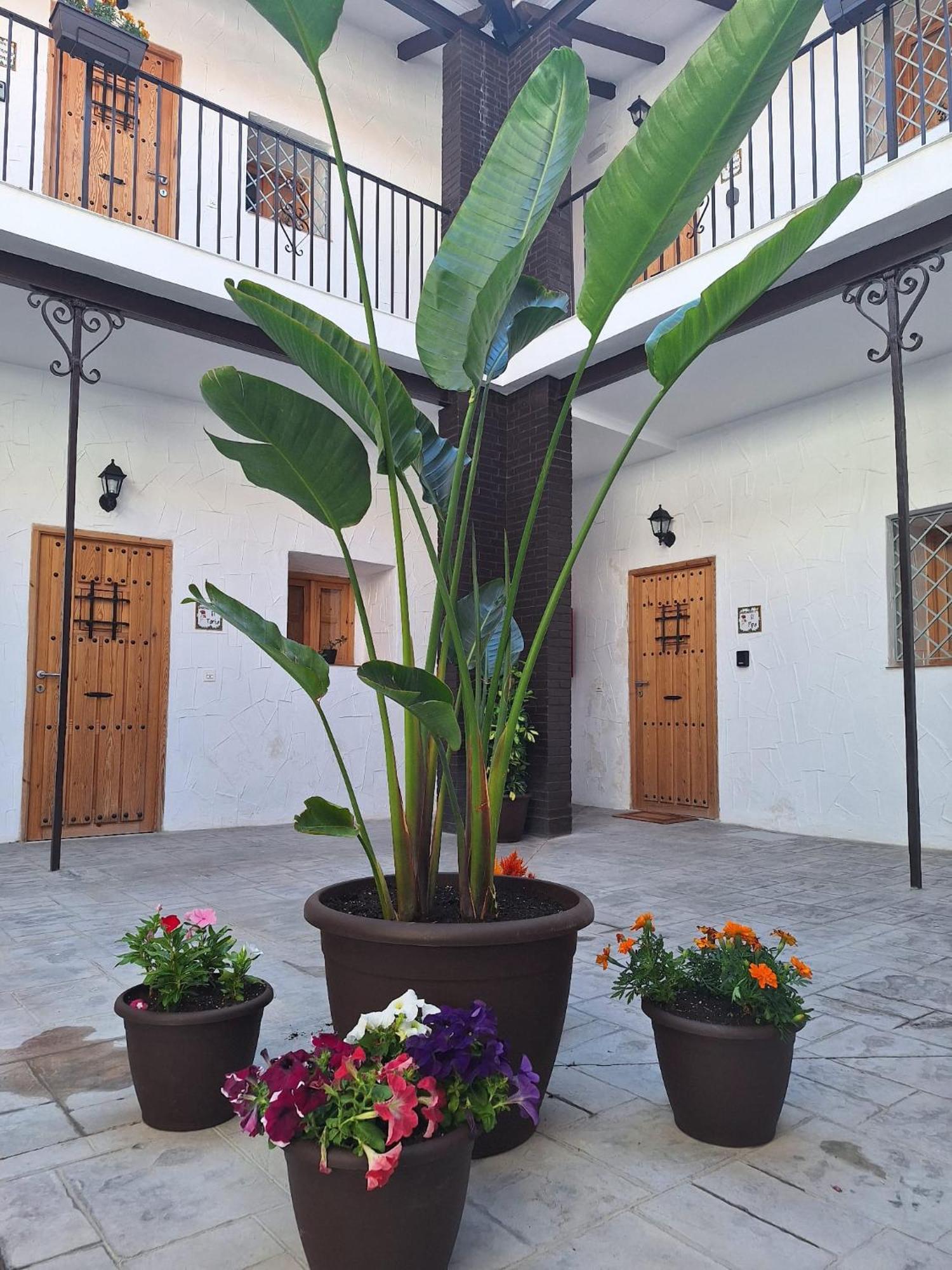 Suite San Mateos 15 Jerez de la Frontera Dış mekan fotoğraf